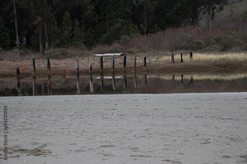 Fototapeta premium beach and old pilings