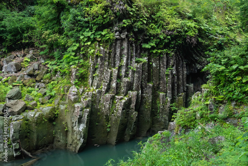 Natural Basalt Columns with Greenery