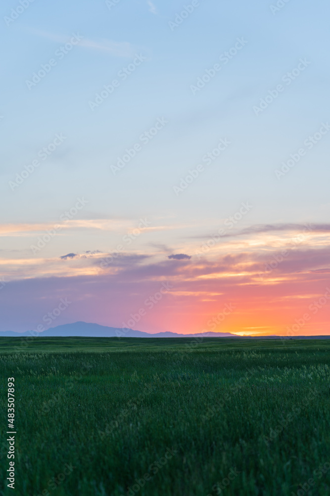 sunset over field during spring
