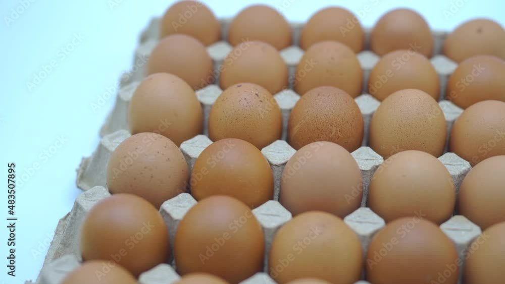 Moving Egg tray on white background. Moving Egg tray on white background.