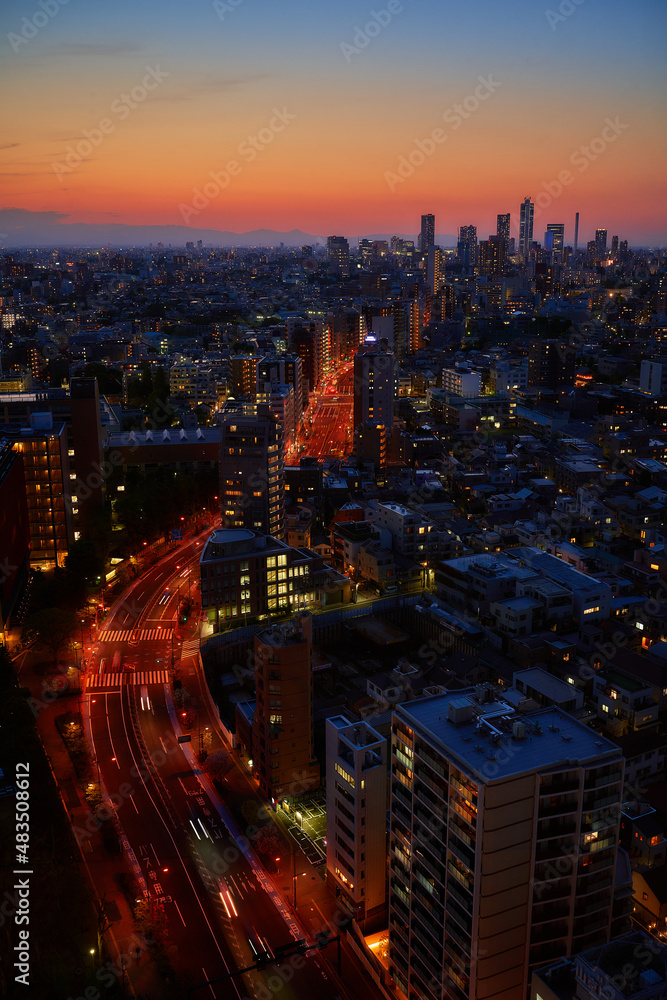 An evening view of Tokyo
