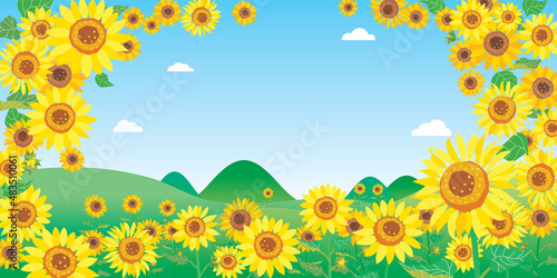 夏の向日葵畑の風景のイラスト