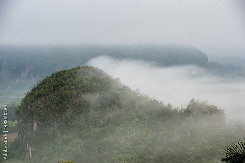 Aerial View across the Vinales Valley in Cuba. Morning twilight and fog. Fog at dawn in the Valley of Vinales in Pinar del Rio, famous for tobacco plantations in Cuba, world heritage site of Unesco