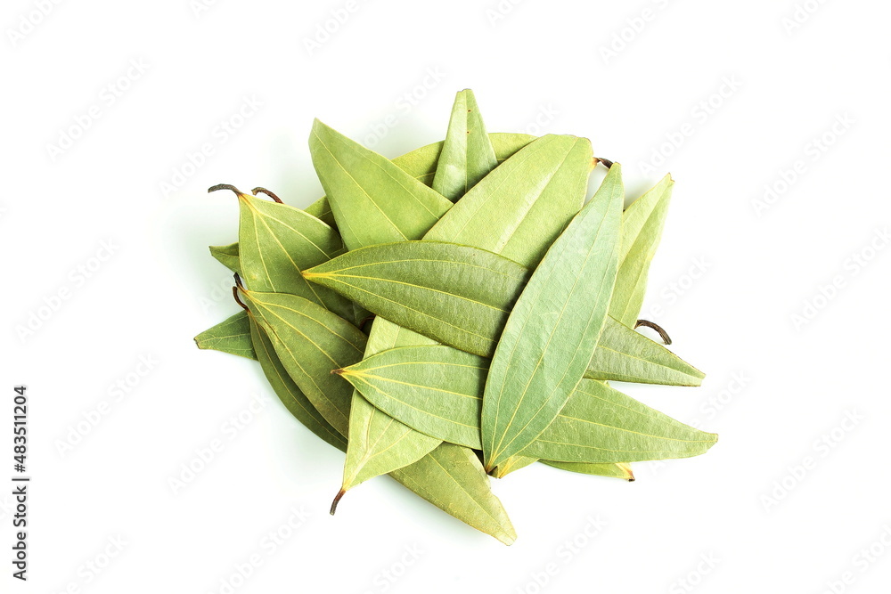 dried cinnamon leaves or bay leaf in white background with copy space dried cinnamon leaves or bay leaf in white background with copy space