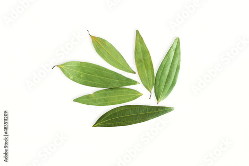 dried cinnamon leaves or bay leaf in white background with copy space