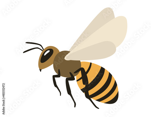 Honey bee in flight illustration
