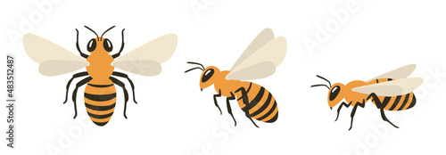 Fotografering Honey bee illustration set: top view, flying side view, and sitting side view