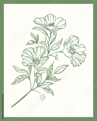 Illustration vector graphic of flowers line