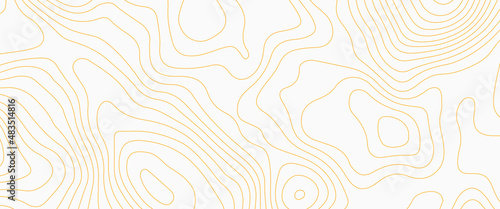 abstract background with lines, Abstract Vector Seamless Pattern with Linear Stylized Salmon Fish Fillet Texture. Vector background with stripes salmon, Abstract topographic map background.