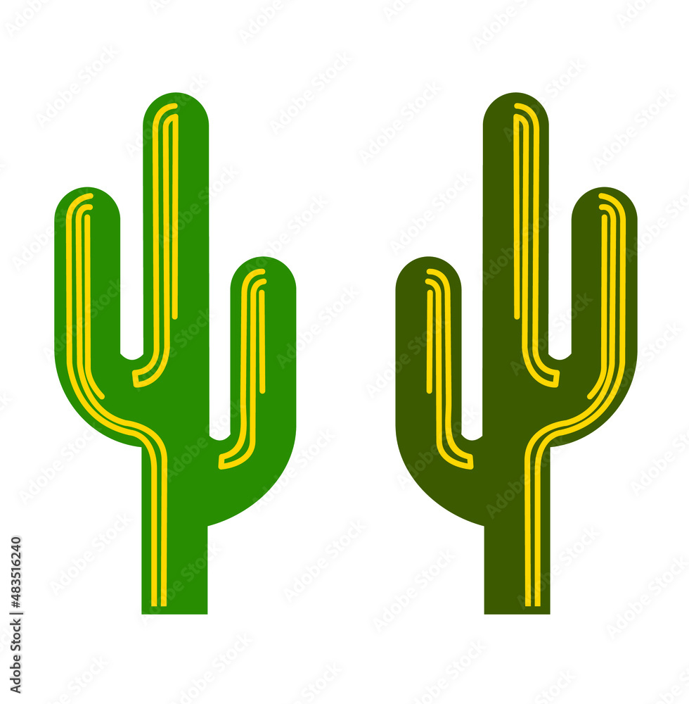 illustration vector cactus illustration vector cactus