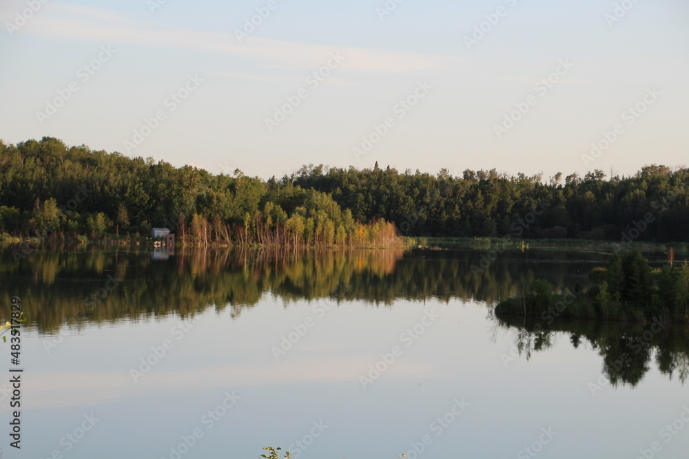 reflection of trees in the lake, Elk Island National Park, Alberta