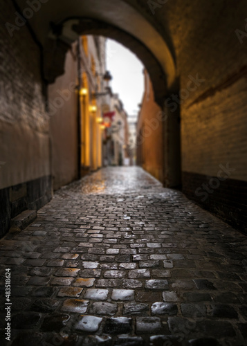 Cobblestones of an old arched alley, Brussels, Belgium © Baharlou