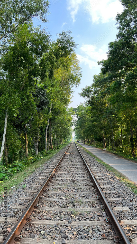 Obraz premium railway tracks in the forest