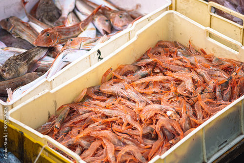 Freshly just caught shrimps and other fish in plastic crates on a fishing wooden boat ready to be sold at the fish market photo