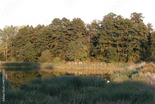 Stawy Raszynskie Reserve, Falenty, Poland