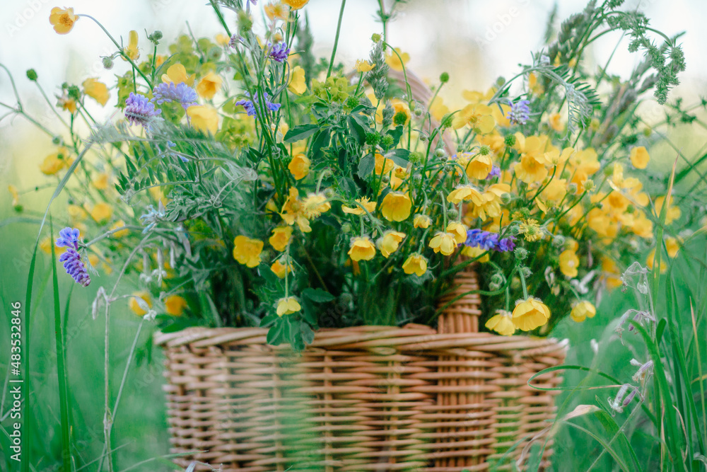 Yellow, blue wildflowers in a wooden wicker basket. A basket of fresh wild flowers in the field. copy space. selective focus Yellow, blue wildflowers in a wooden wicker basket. A basket of fresh wild flowers in the field. copy space. selective focus