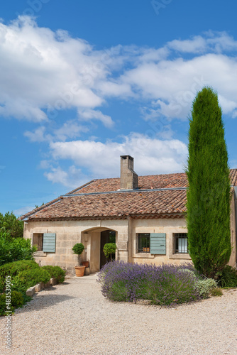 A house with a tiled roof and lavender with cypress is a typical picture in Provence, France