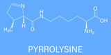 Pyrrolysine or l-pyrrolysine, Pyl, O amino acid molecule. Skeletal formula.