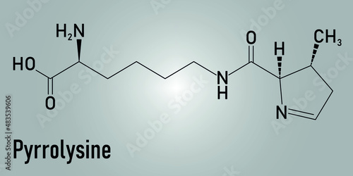 Pyrrolysine or l-pyrrolysine, Pyl, O amino acid molecule. Skeletal formula.