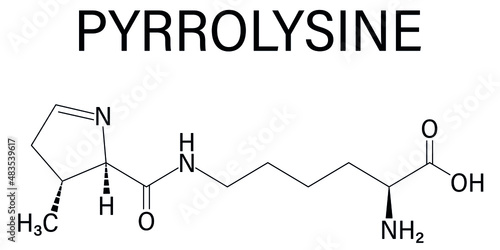 Pyrrolysine or l-pyrrolysine, Pyl, O amino acid molecule. Skeletal formula. photo