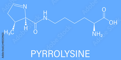 Pyrrolysine or l-pyrrolysine, Pyl, O amino acid molecule. Skeletal formula.