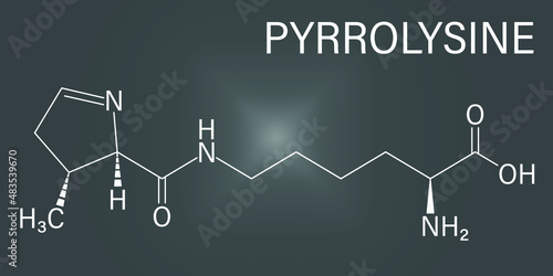 Pyrrolysine or l-pyrrolysine, Pyl, O amino acid molecule. Skeletal formula.