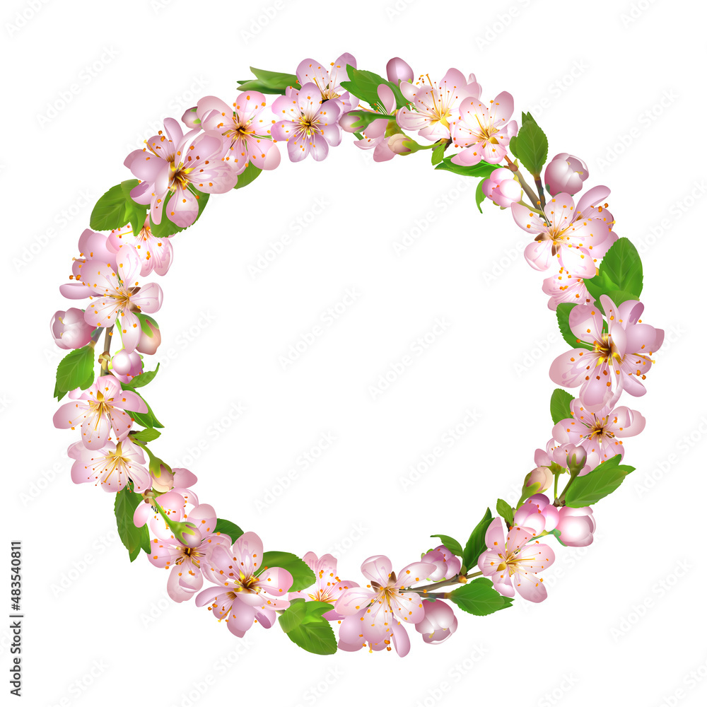 Cherry blossom wreath. Pink Delicate sakura flowers . Spring pink blooming composition with buds and leaves. Cherry blossom wreath. Pink Delicate sakura flowers . Spring pink blooming composition with buds and leaves.