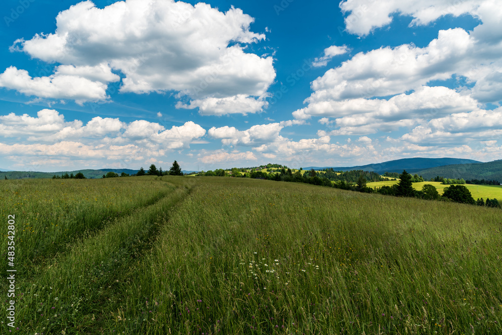 Beautiful rolling landscape with smaller hills covered by meadows with few trees and few buildings, higher forested hills on the background and blue sky with clouds