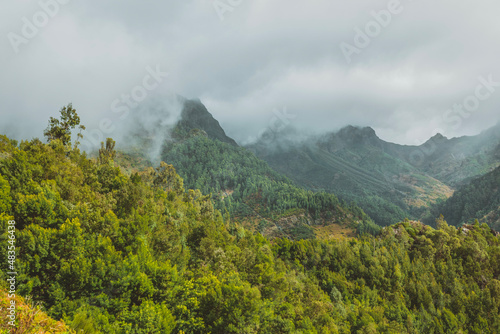 fog in the mountains