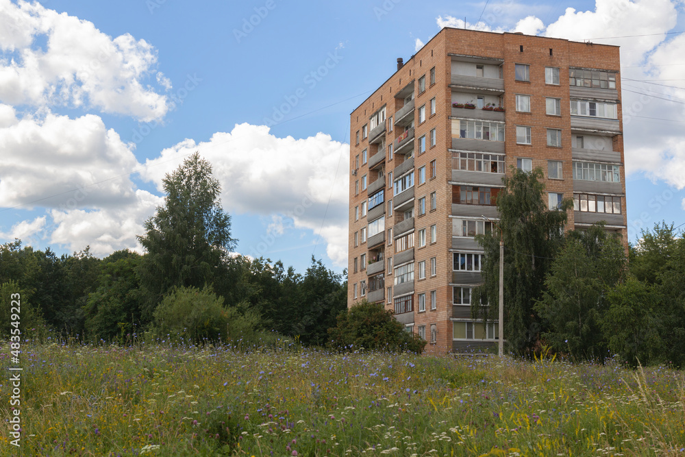 Field flowers in front of a highrise against the sky by summer day