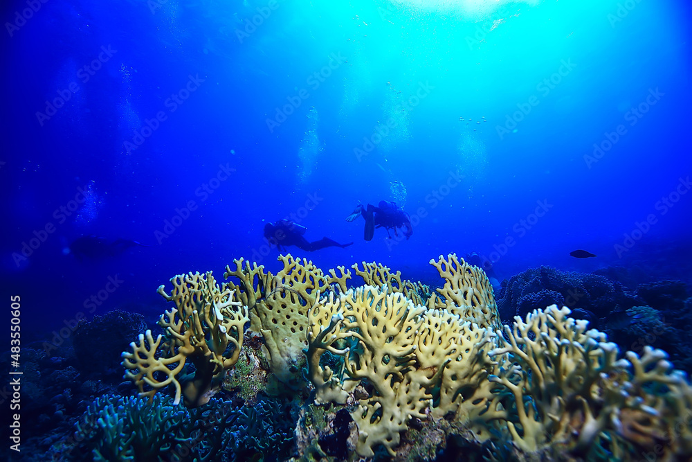 Fototapeta premium coral reef background, underwater marine life ecosystem ocean sea