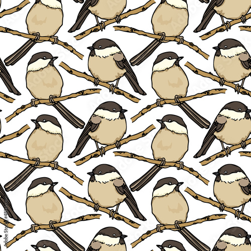 Vector seamless pattern with hand drawn Willow Tits sitting on the tree branches. Ink drawing, beautiful animal design elements. Perfect for prints and patterns