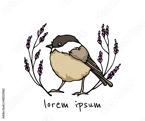 Vector card with hand drawn cute Willow Tit in lavender wreath. Ink drawing, beautiful animal design elements. Logo template