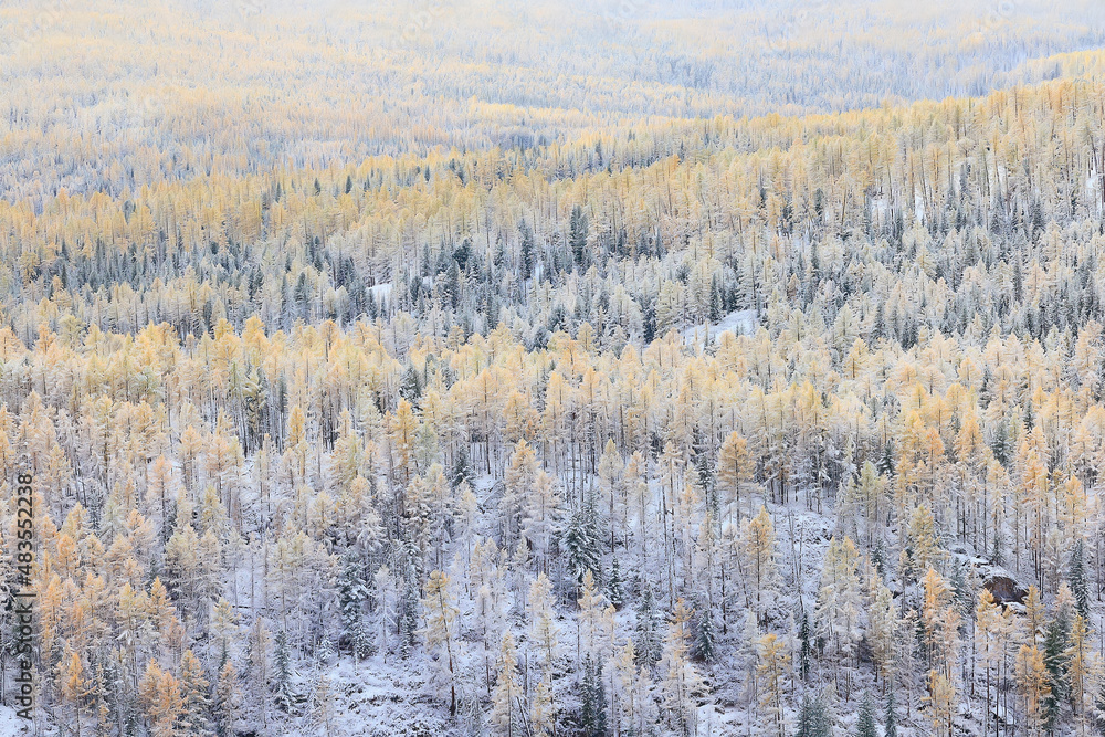winter landscape trees covered with hoarfrost winter landscape trees covered with hoarfrost