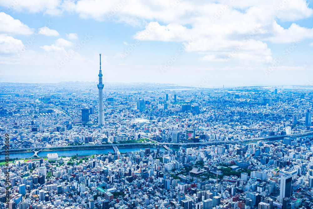 Fototapeta premium 東京 都心部空撮写真