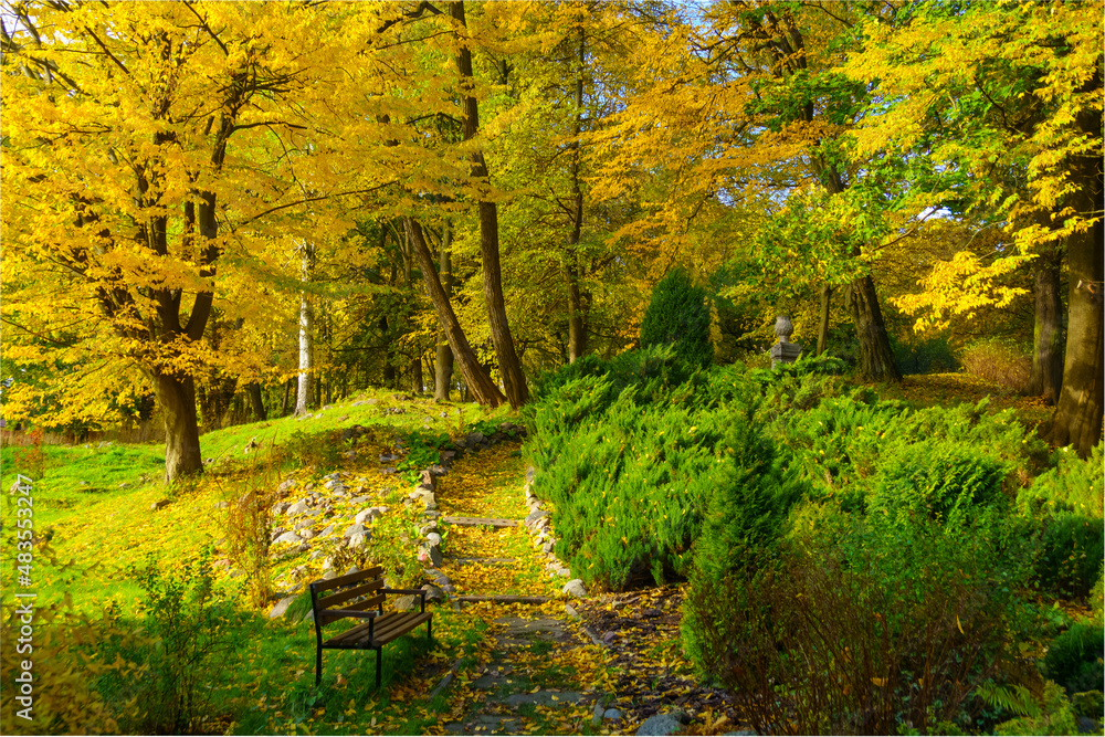 Path and bench in autumn park