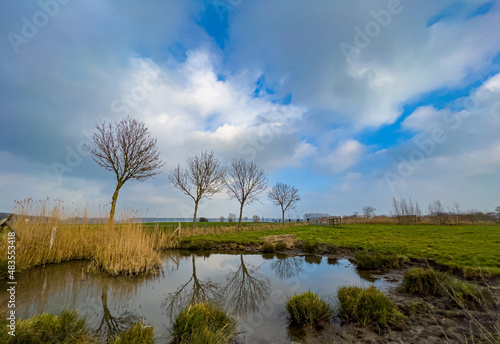 landscape with trees and water