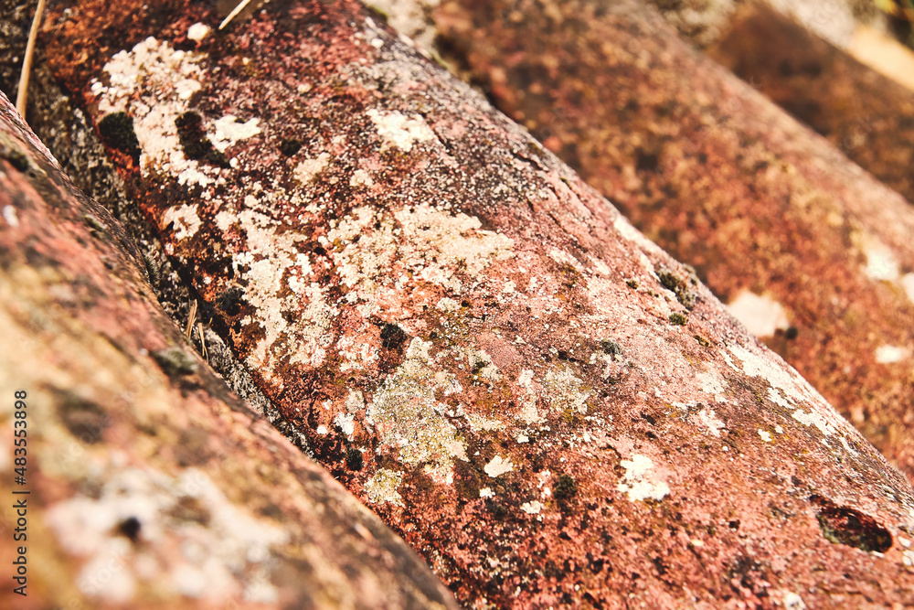 Fototapeta premium The Close-up texture of old, dirty, rusty European roof tiles. Abstract architecture backgrounds and patterns