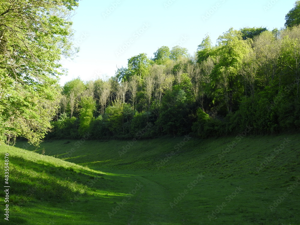 Green landscapes in a very sloping hilly green area with trees and sky Green landscapes in a very sloping hilly green area with trees and sky