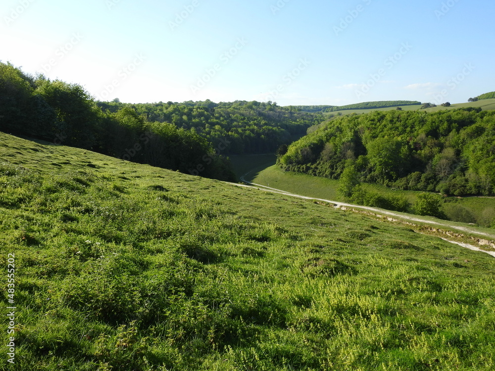 Distant green landscapes in a very sloping hilly green area with trees and sky