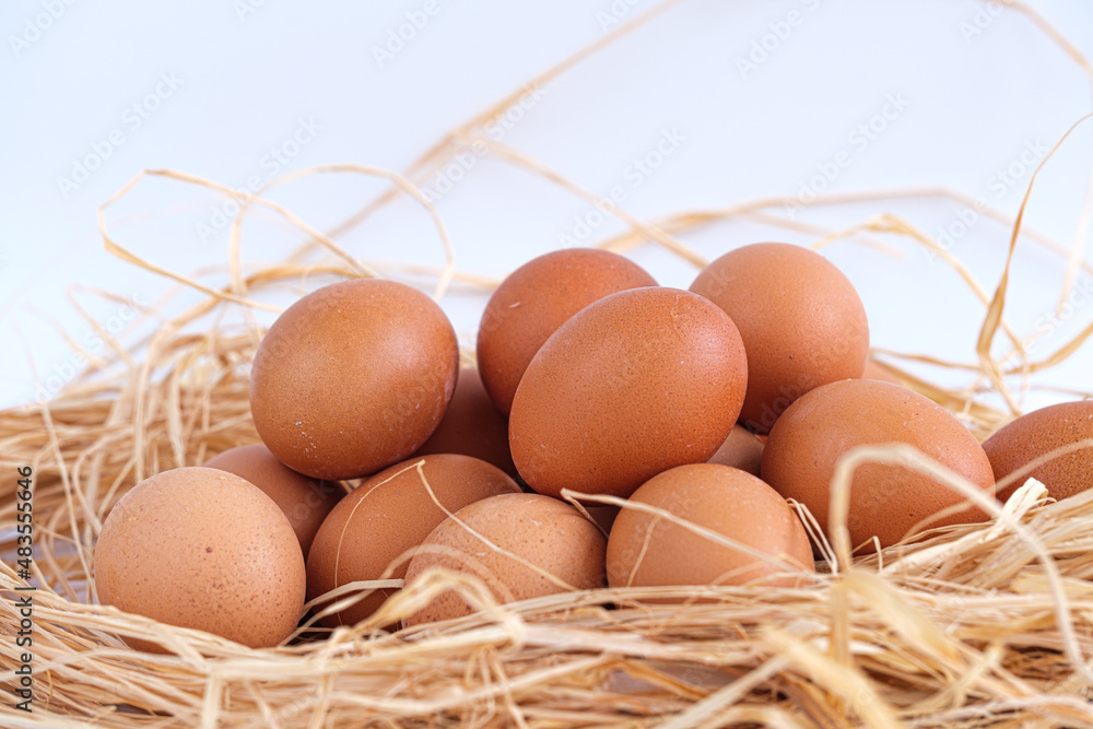 Brown eggs stack in hay with white background. Side or profile view, closeup and macro shot of shelled eggs with wicker or straw nest. No people. Brown eggs stack in hay with white background. Side or profile view, closeup and macro shot of shelled eggs with wicker or straw nest. No people.