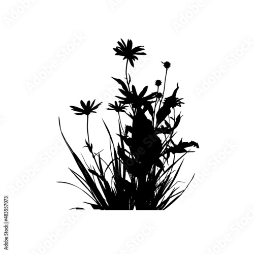 Fototapeta Naklejka Na Ścianę i Meble -  Silhouette of black grass with flowers. Vector illustration