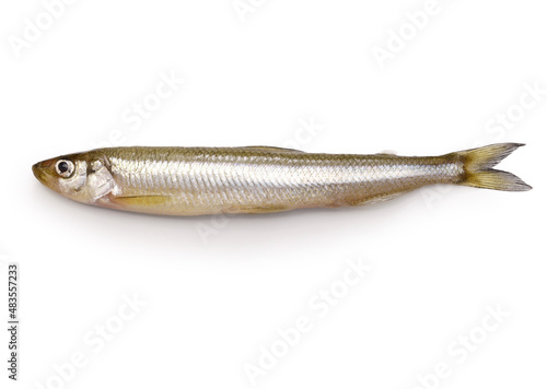 Fényképezés Chika, Japanese surf smelt isolated on white background
