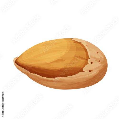 Almond in nutshell detailed raw nut, organic product, ingredient in cartoon style isolated on white background. Ripe plant, snack.