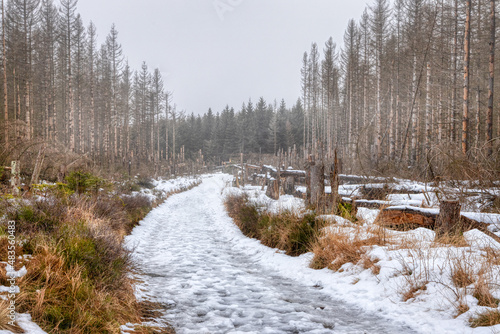 Wanderweg im Harz Winterimpression