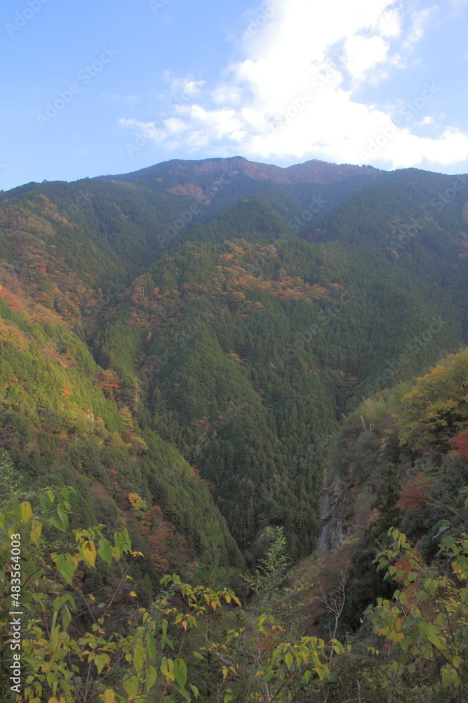 Fototapeta premium 高知県 紅葉した山々の風景