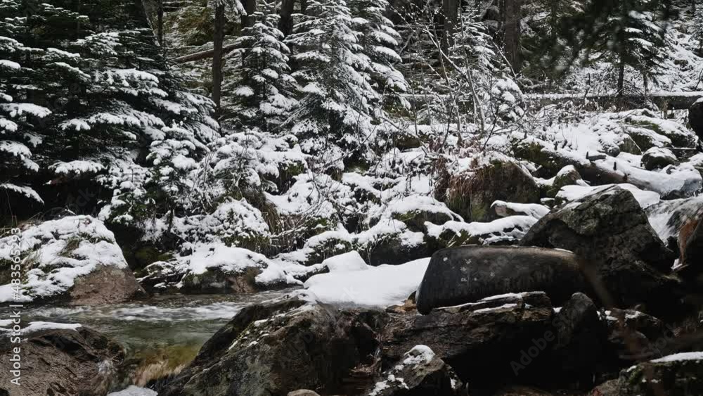 Mountain stream, with fast slow runs between stones and trees of mount forest. Winter black and white scenery Mountain stream, with fast slow runs between stones and trees of mount forest. Winter black and white scenery