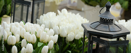 Lantern with white tulip flower in the background #483566289