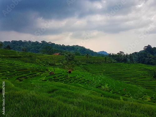 Beautiful terrasering at Payung village photo