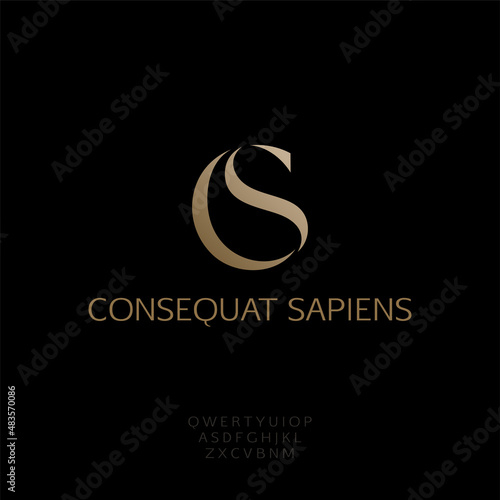 C and S monogram, luxury brand CS letters, vector illustration